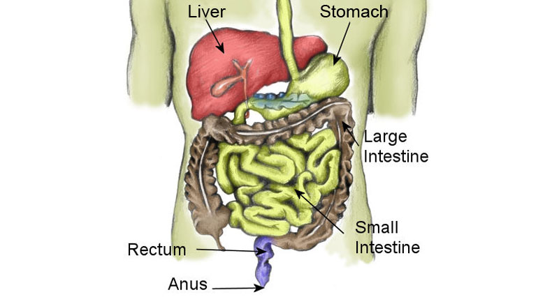 胃肠道症状