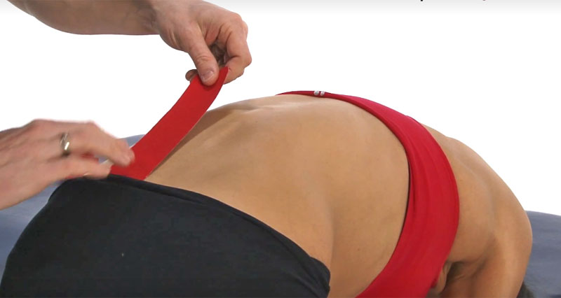 预防背痛运动机能学胶带